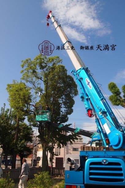 樹木剪定1