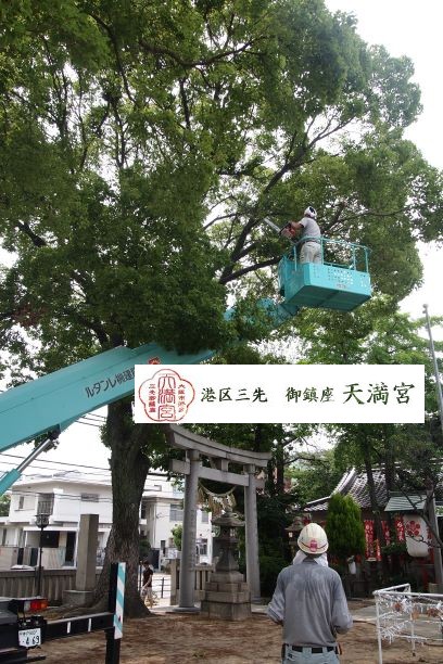樹木剪定2